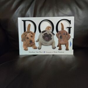 Dog By Matthew Van Fleet Board Book With Pull Outs And Textures